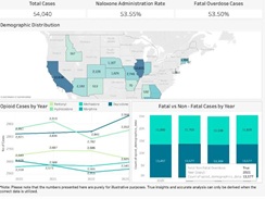 SpringML Opioid Epidemic Solution resource thumbnail